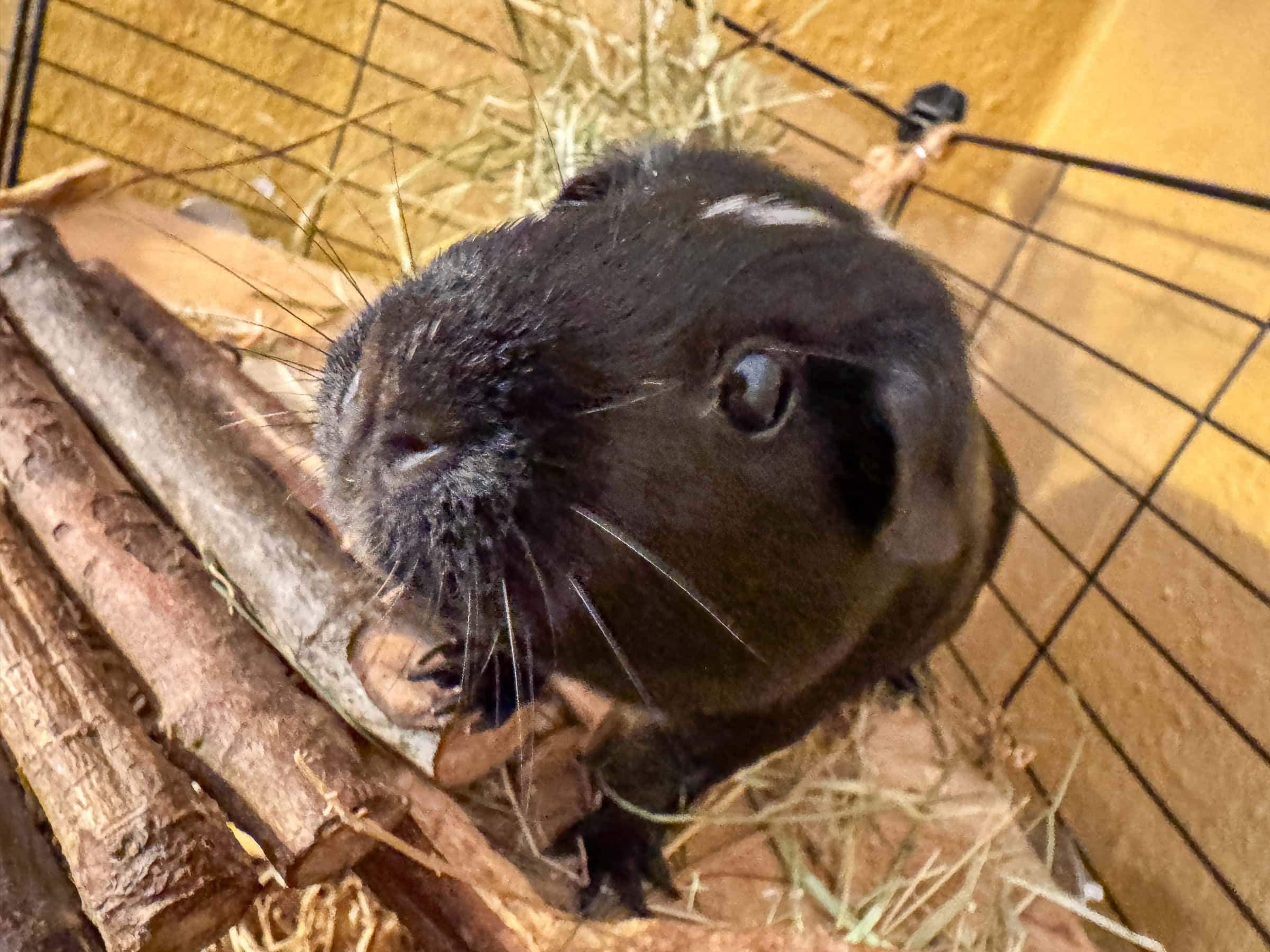 BDM_10_2025_Mark_Poltermann-30