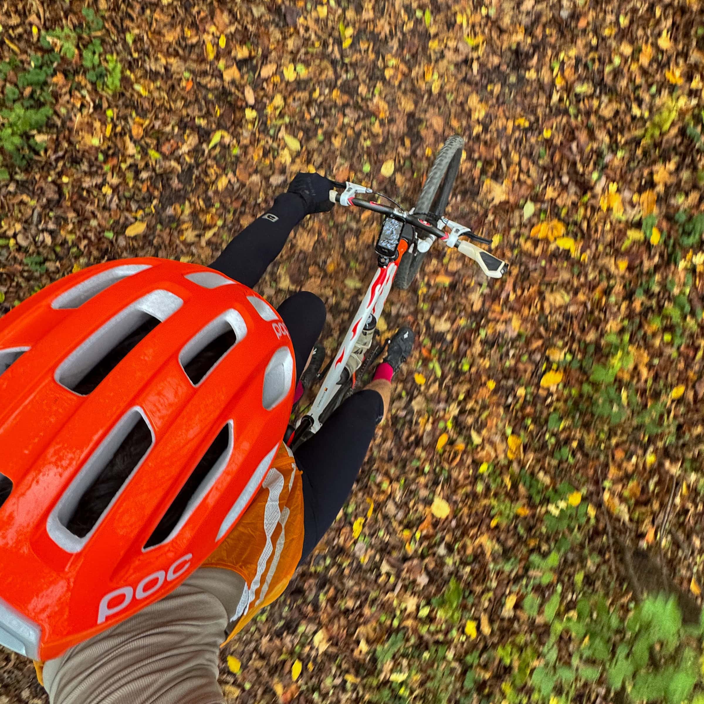 BDM_10_2025_Mark_Poltermann-31