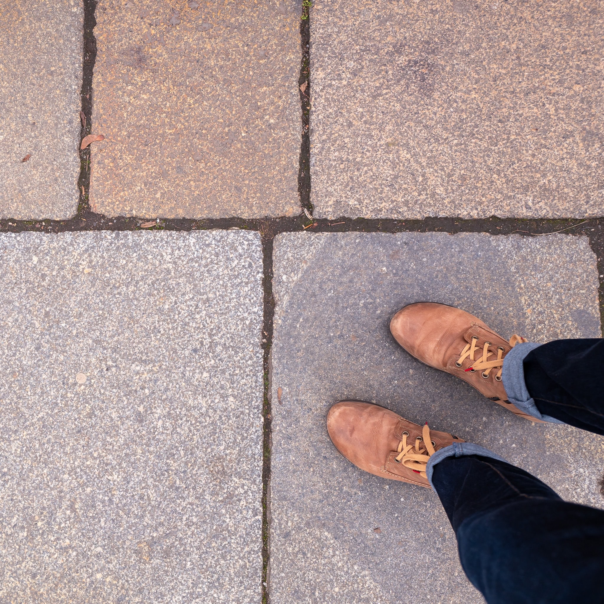 BDM_11_2025-Mark-Poltermann-13