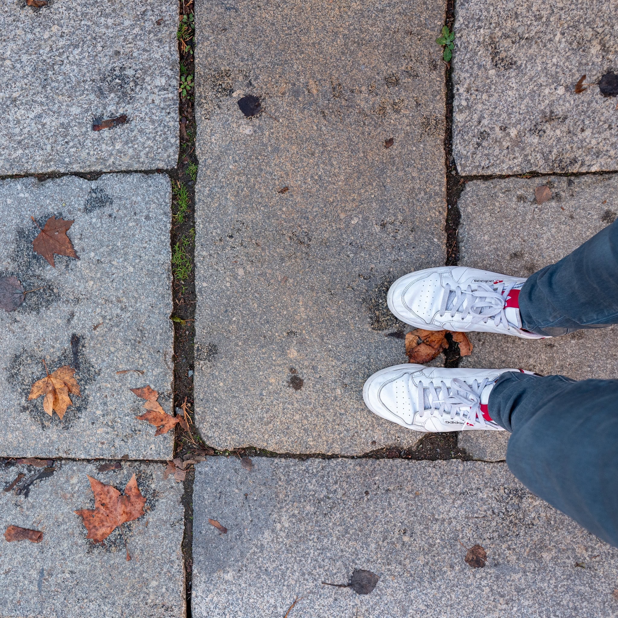 BDM_11_2025-Mark-Poltermann-19