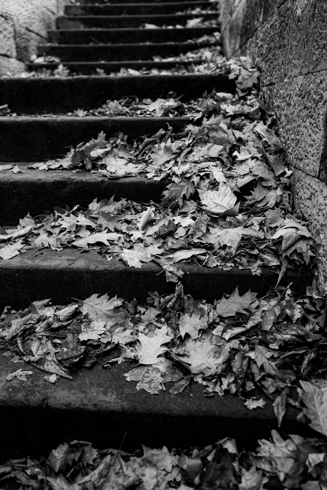 BDM_11_2025-Mark-Poltermann-22