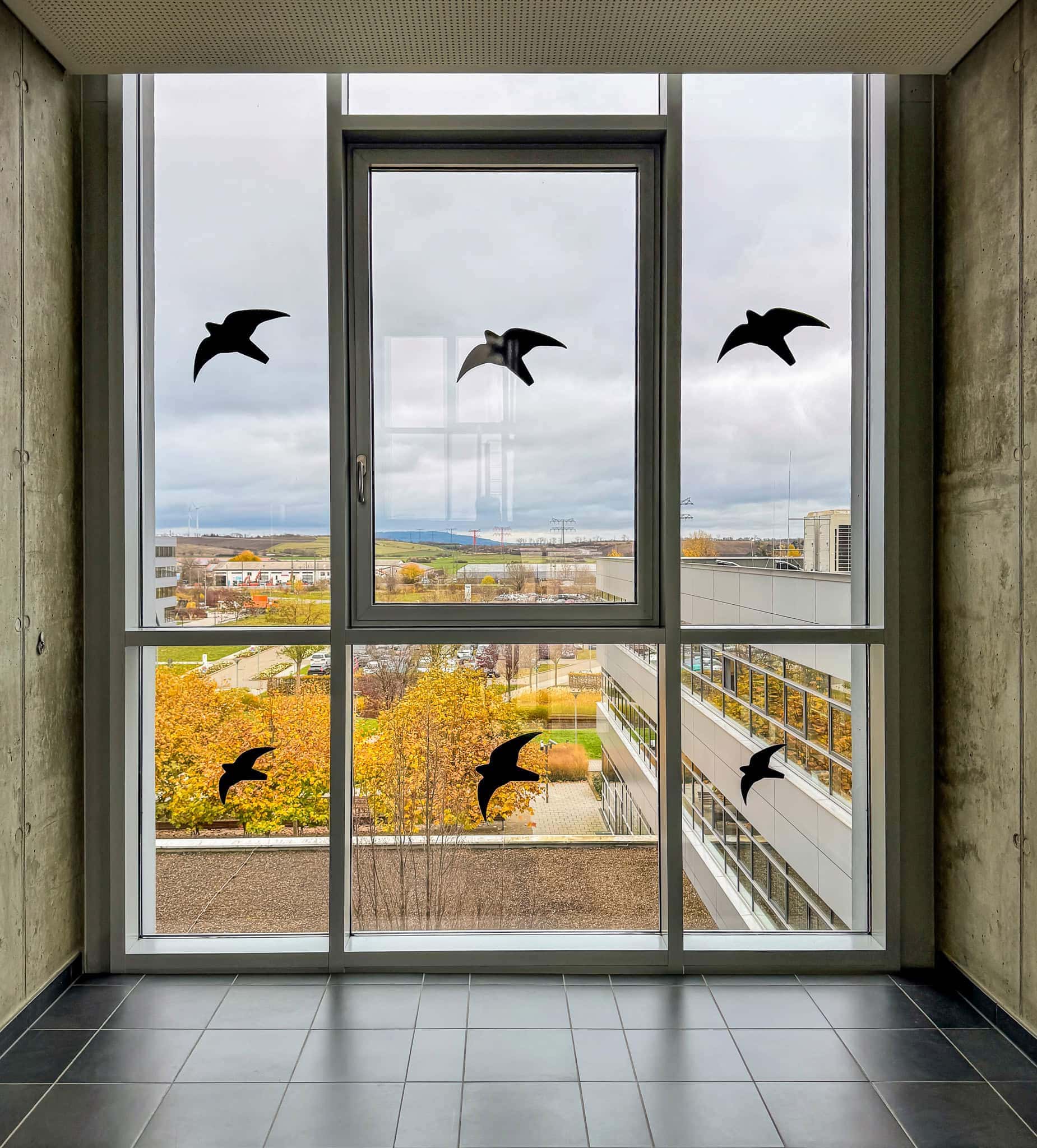 BDM_11_2025-Mark-Poltermann-24