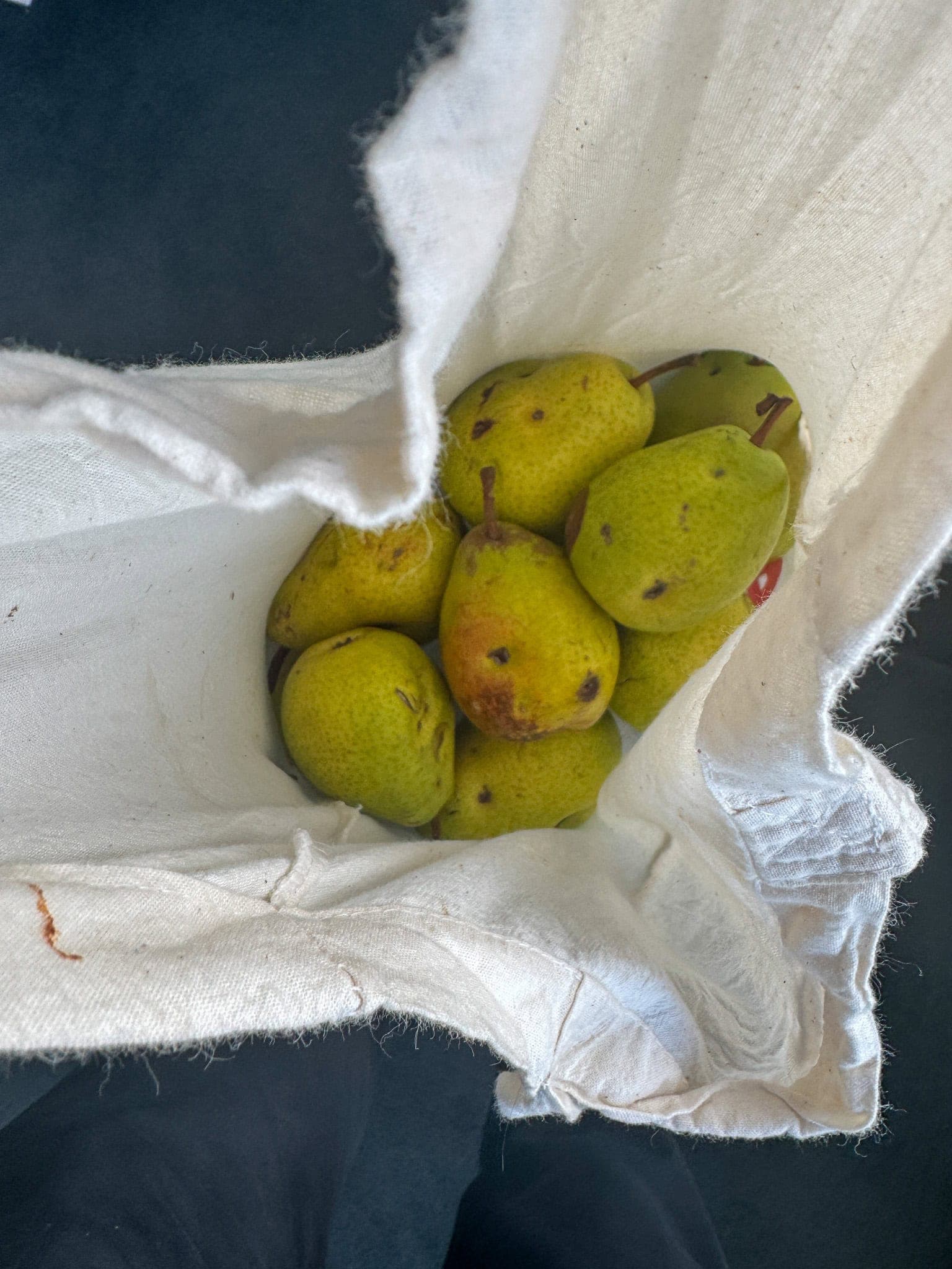 BDM_11_2025-Mark-Poltermann-3