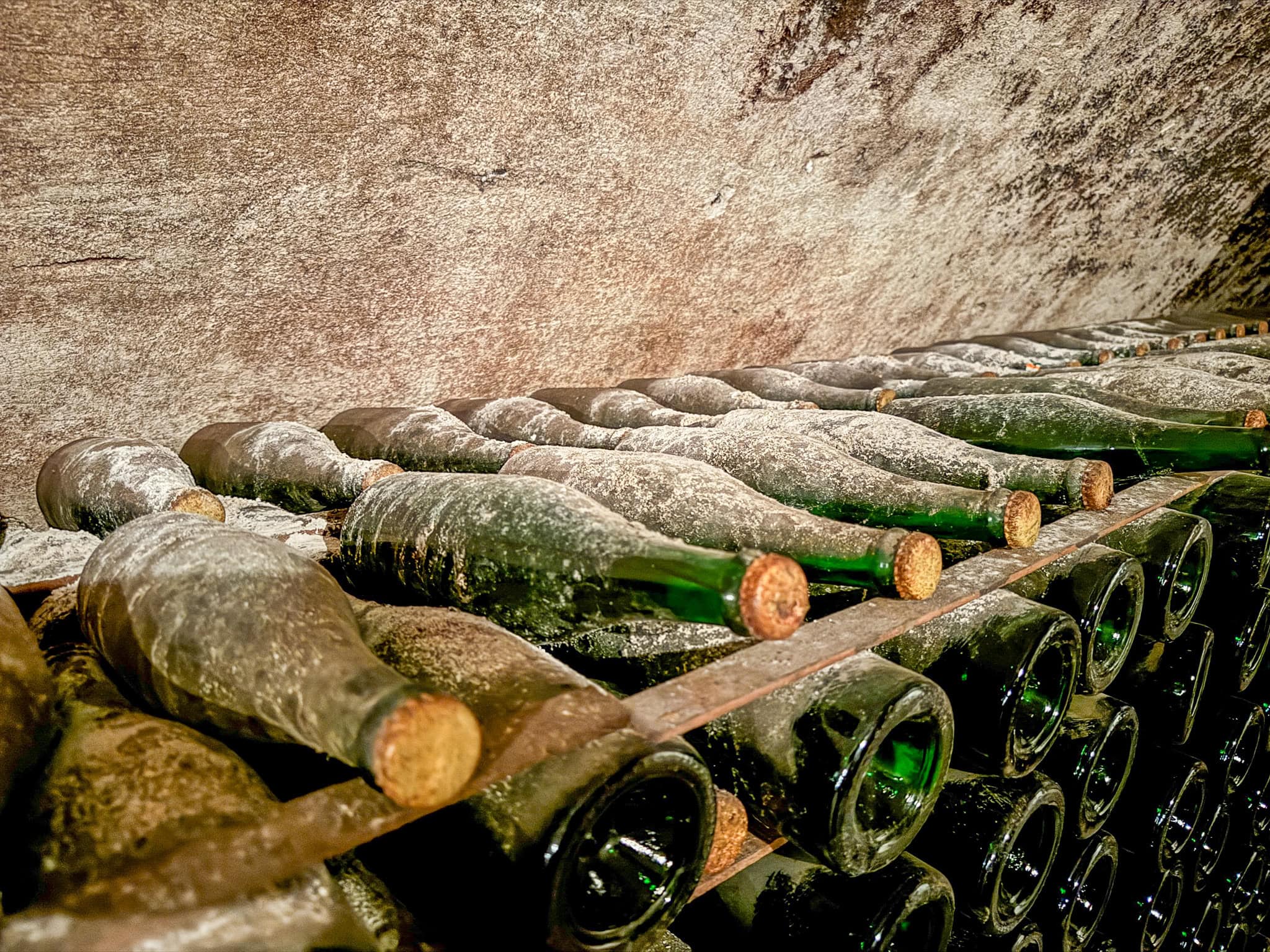 BDM_11_2025-Mark-Poltermann-4