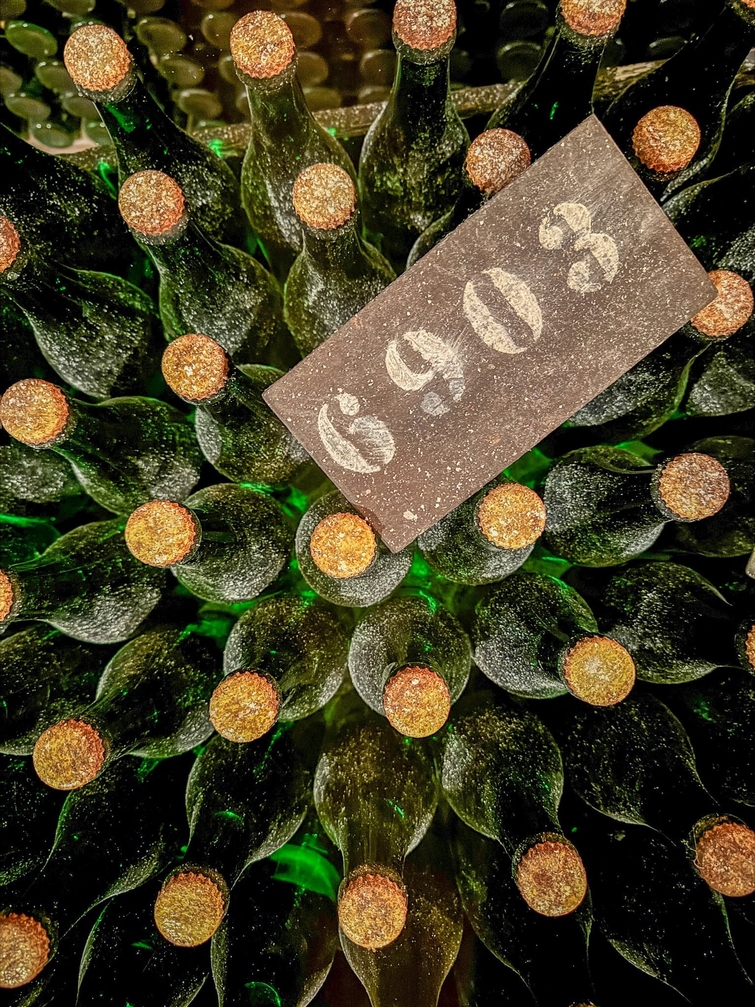 BDM_11_2025-Mark-Poltermann-5