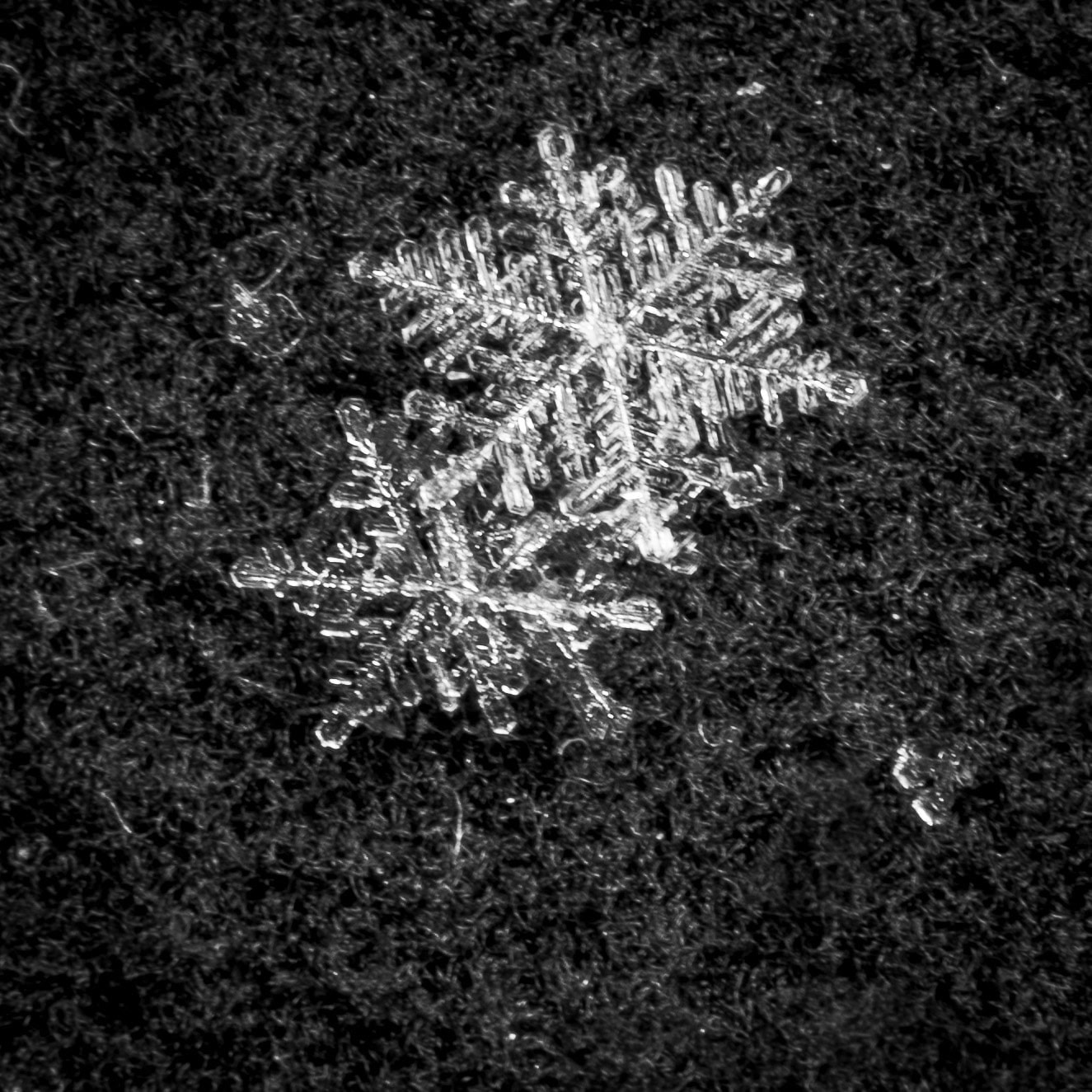 Schneeflocken