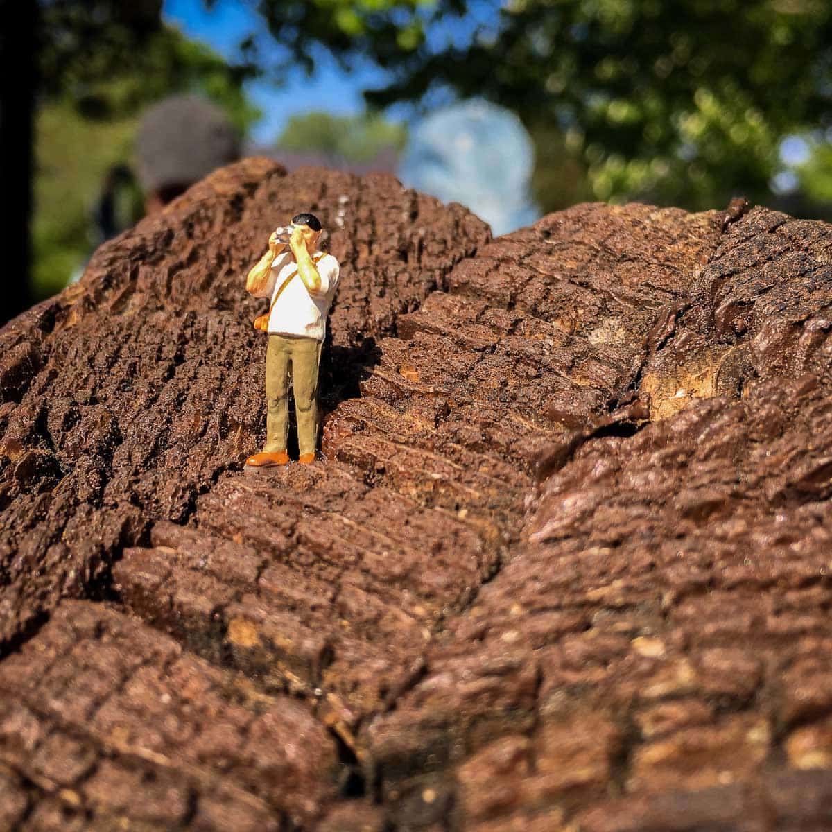 FotoKunstPfad_001