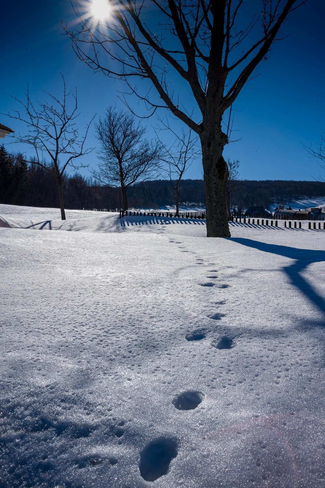 Seiffen im Erzgebirge