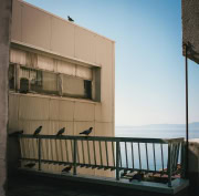 Rolleiflex-2024-Mark-Poltermann-22