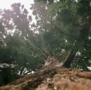 Rolleiflex-2024-Mark-Poltermann-33