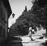 Rolleiflex-2024-Mark-Poltermann-40