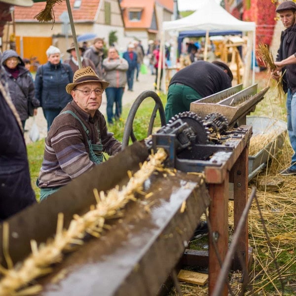 Apfelmarkt Tiefengruben
