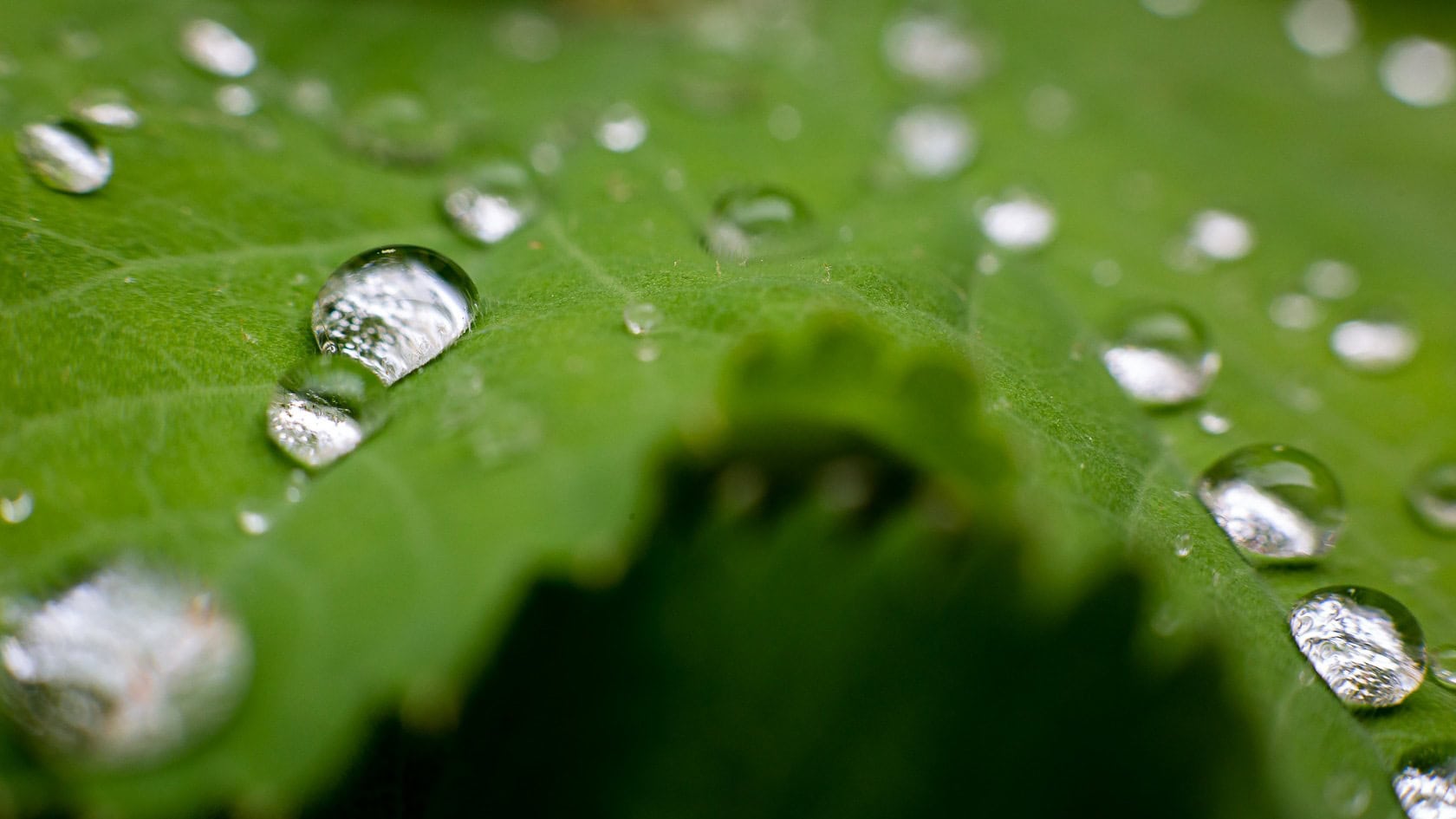 Wassertropfen