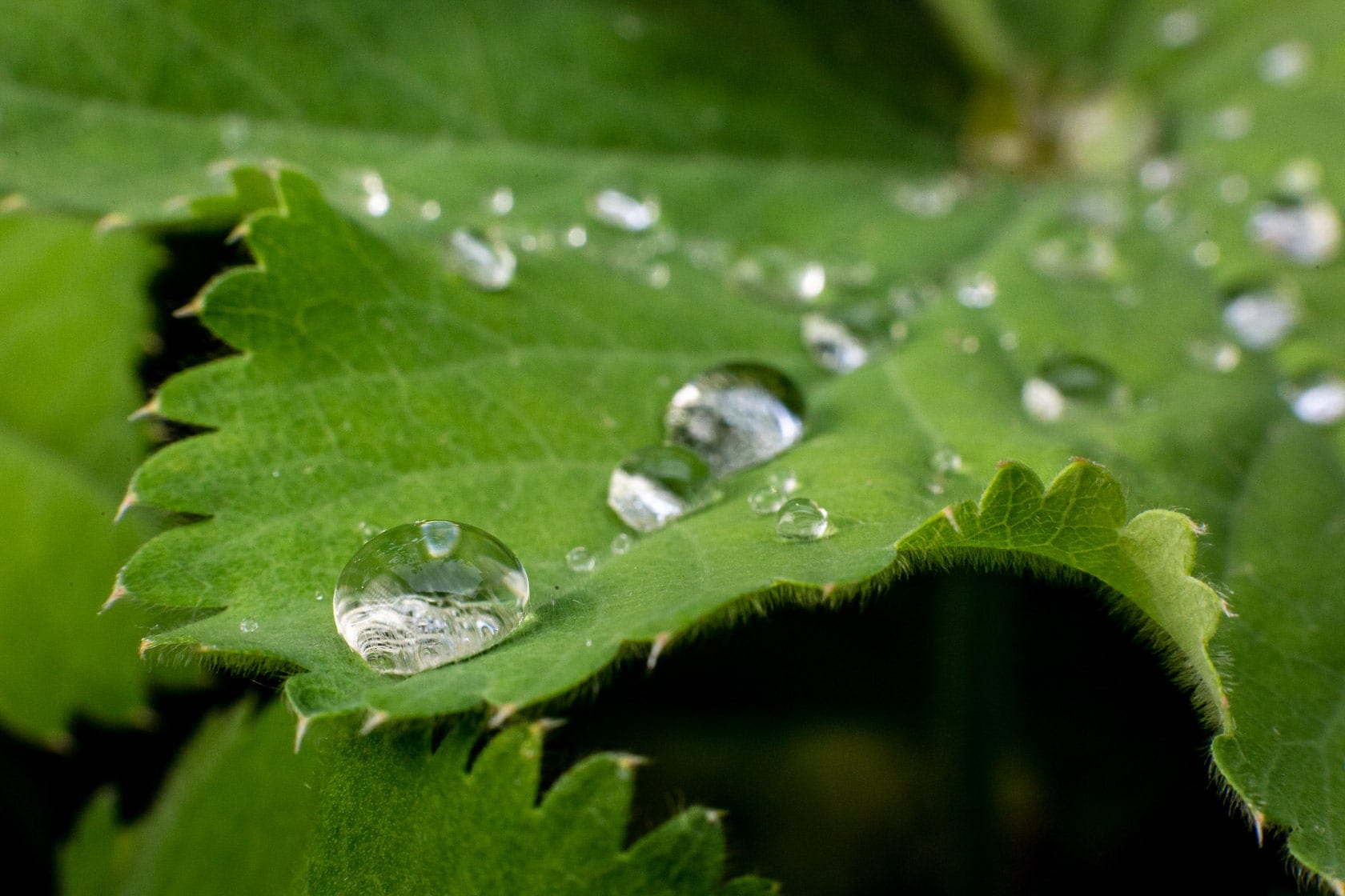 Wassertropfen