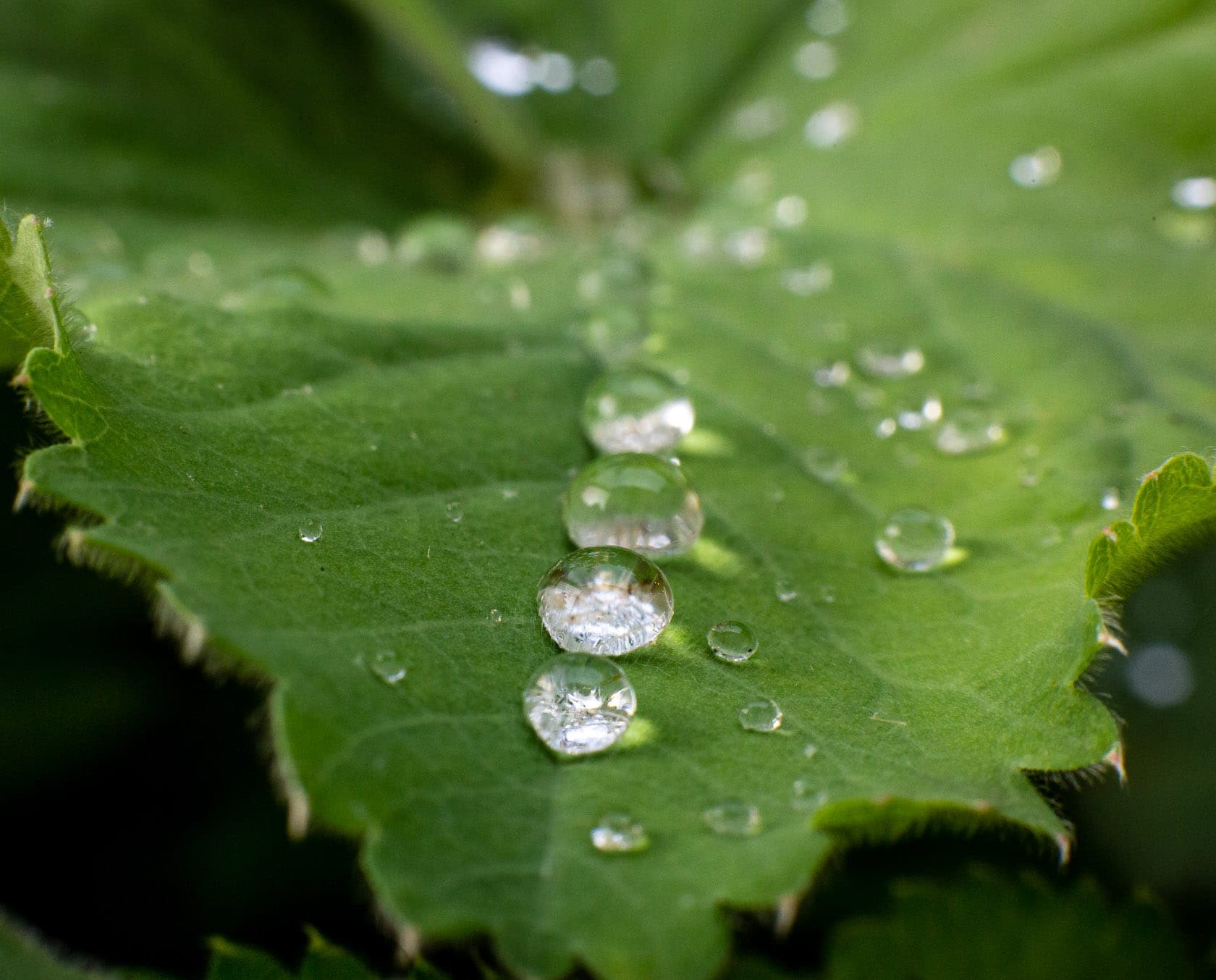 Wassertropfen