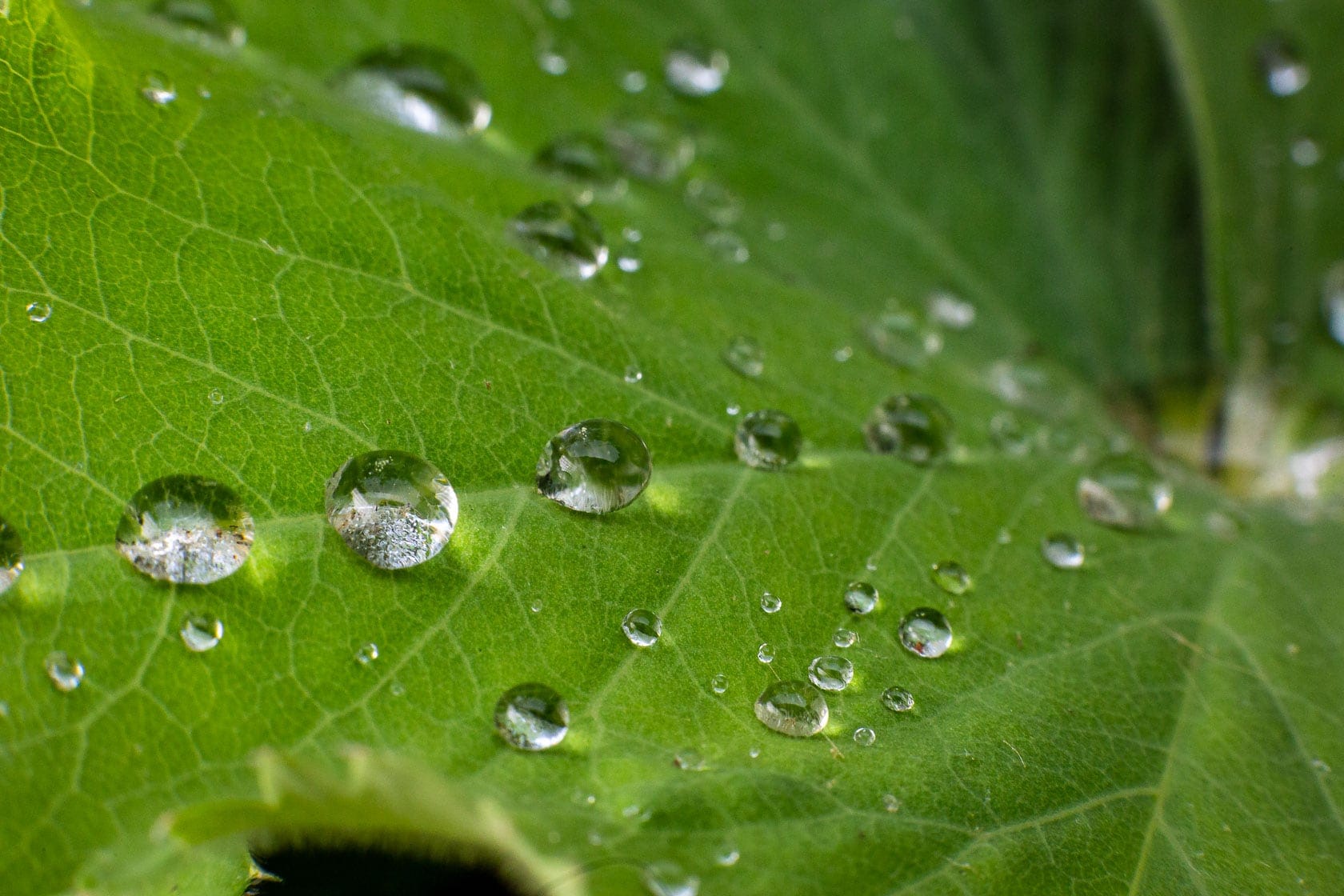 Wassertropfen