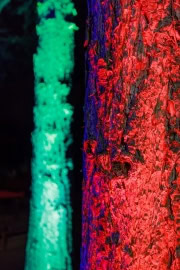 20211209-_MG_0892.jpg