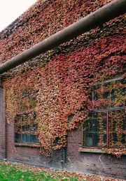 Zollverein-2024-Mark-Poltermann-39