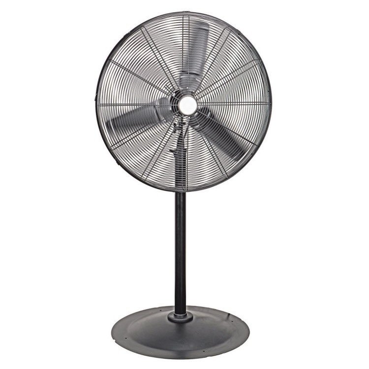 Pedestal Fan