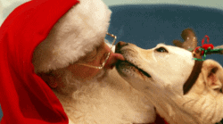 Santa Christmas DAY - 30 Minutes