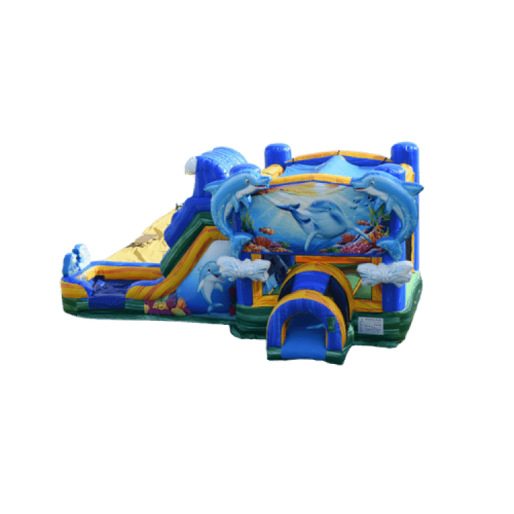 Dolphin Splash Slide & Bounce Combo Waterslide