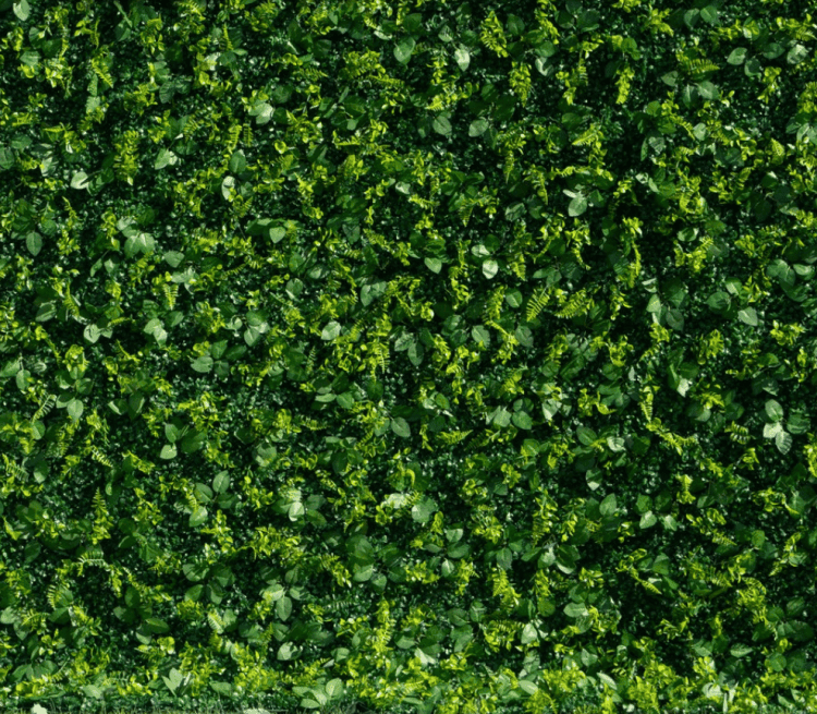 Hedge Wall / Greenery Wall