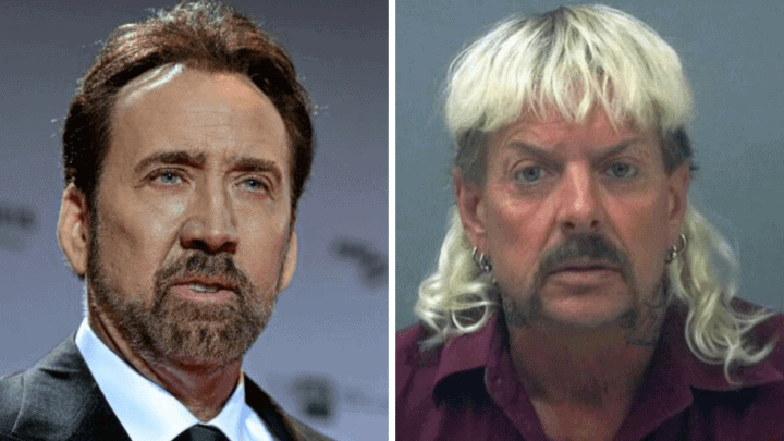 Nicolas Cage Cast as Joe Exotic in Upcoming Scripted TIGER KING Series