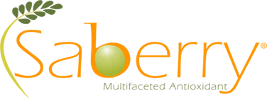 Saberry Logo