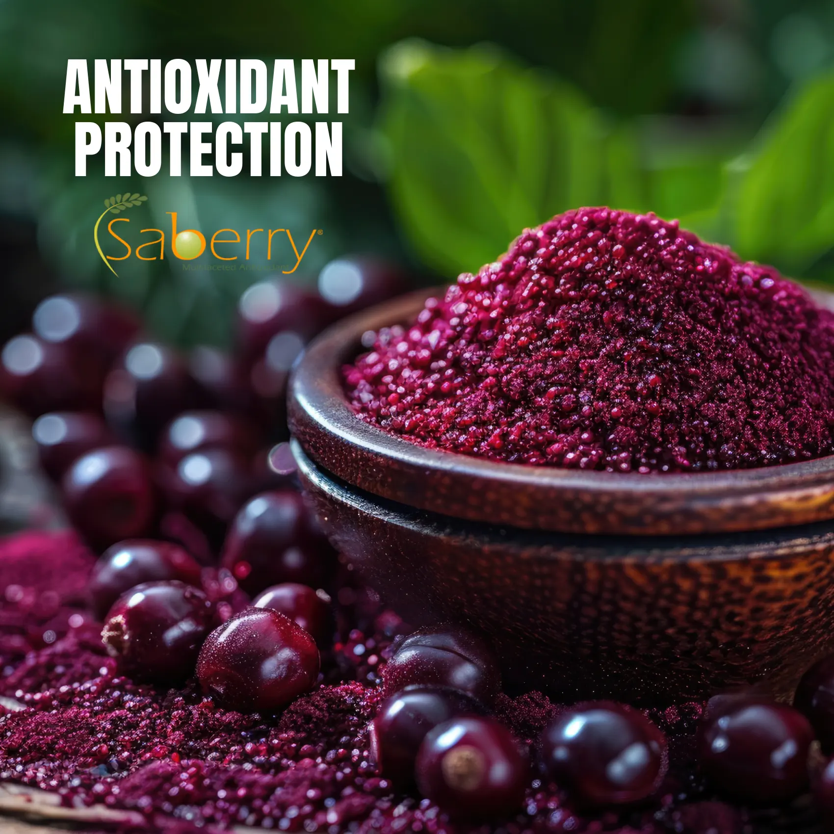 ANTIOXIDANT PROTECTION MOBILE SLIDER IMAGE