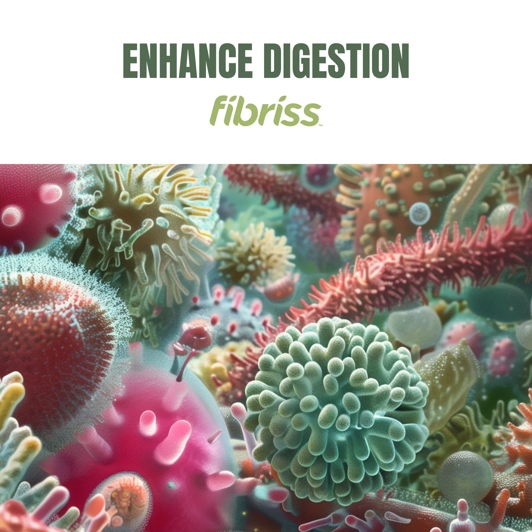 ENCHANCE DIGESTION HERO SLIDER IMAGE