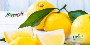 Title_ Bergacyn®_ A Natural Solution for Liver Health in Adults Over 52-minTitle_ Bergacyn®_ A Natural Solution for Liver Health in Adults Over 52