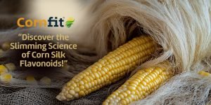 Corn Silk’s Weight Loss Secret_ Why Flavonoids May Be the Missing Link
