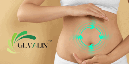 Acid Relief Without the Rebound_ Meet Gevalin™