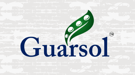 Guarsol Thumbnail