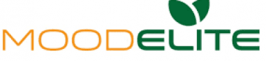MOODELITE LOGO