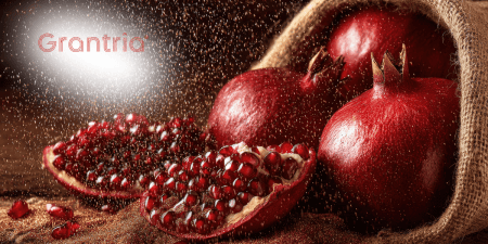 The Beauty-From-Within Power of Triple-Active Pomegranate