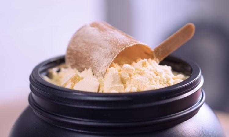 Container of protein powder