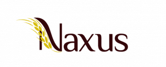 naxus logo 1