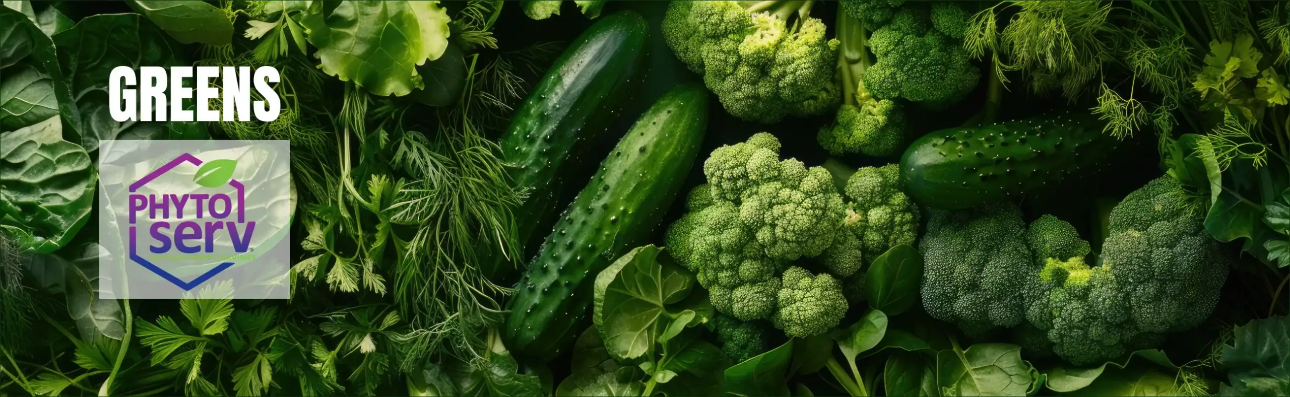 GREENS HERO SLIDER IMAGE