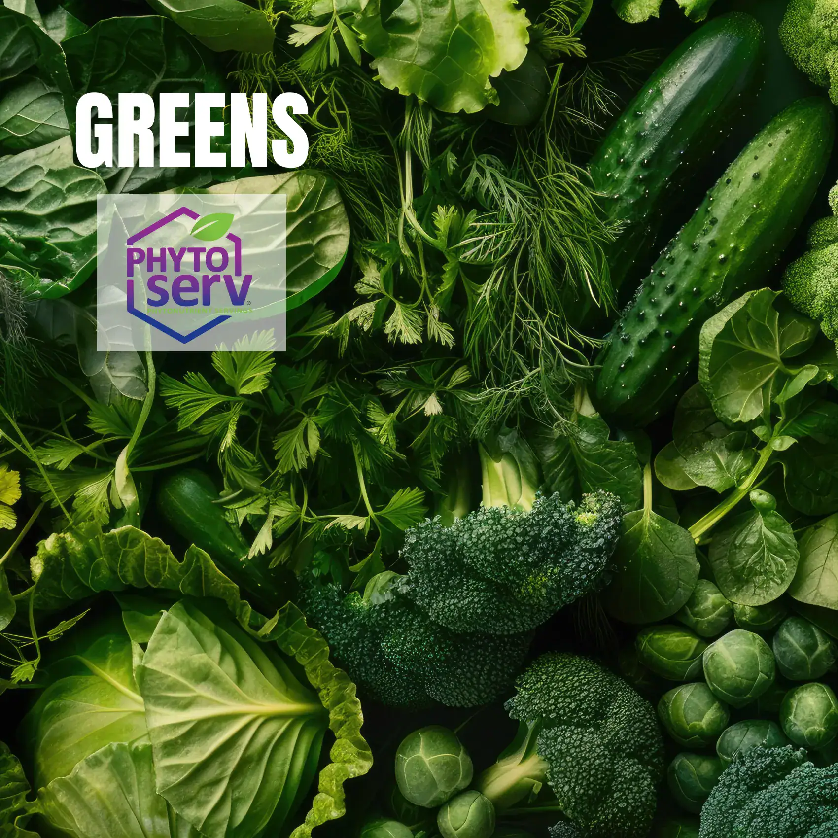 GREENS MOBILE HERO SLIDER IMAGE