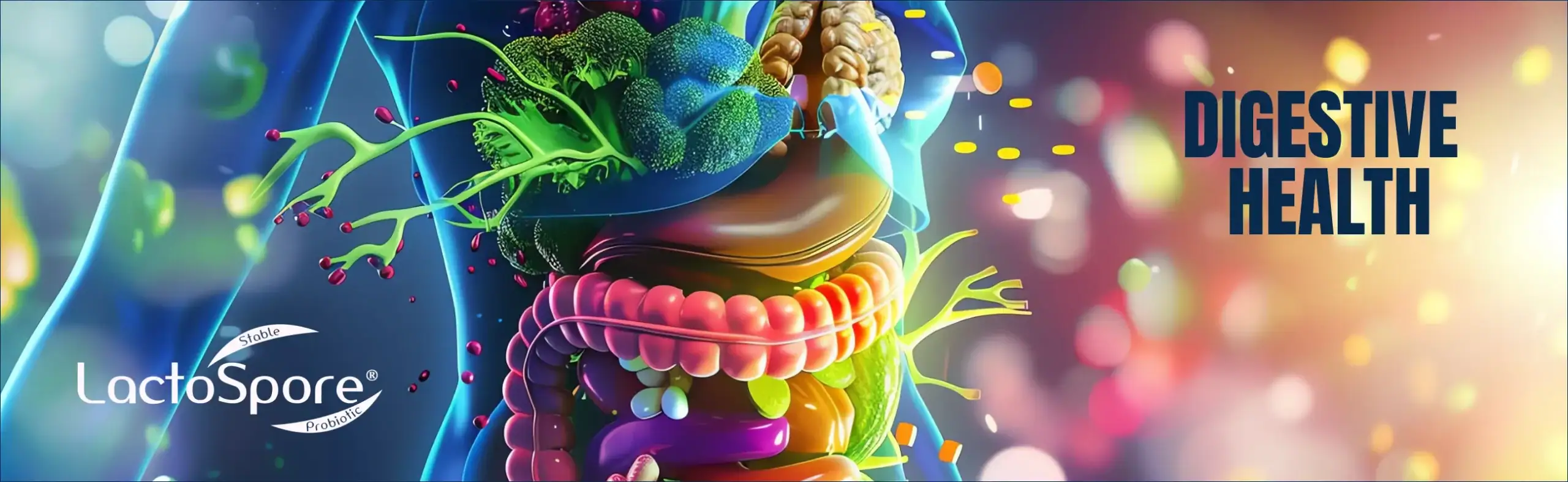 DIGESTIVE HEALTH HERO SLIDER IMAGE