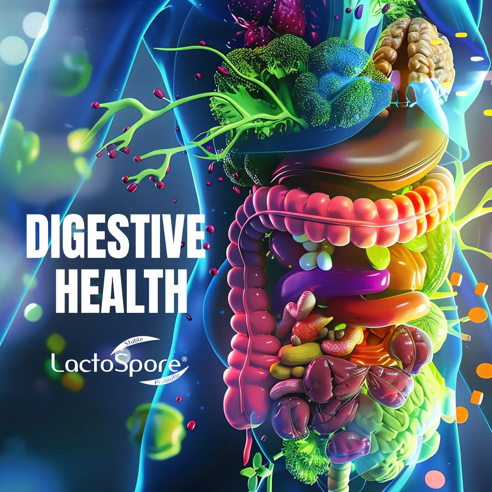 DIGESTIVE HEALTH MOBILE HERO SLIDER IMAGE