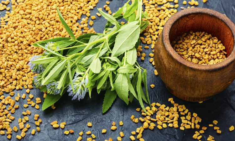 Fenugreek seeds and leaves