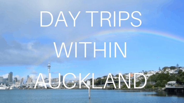 auckland-in-new-zealand
