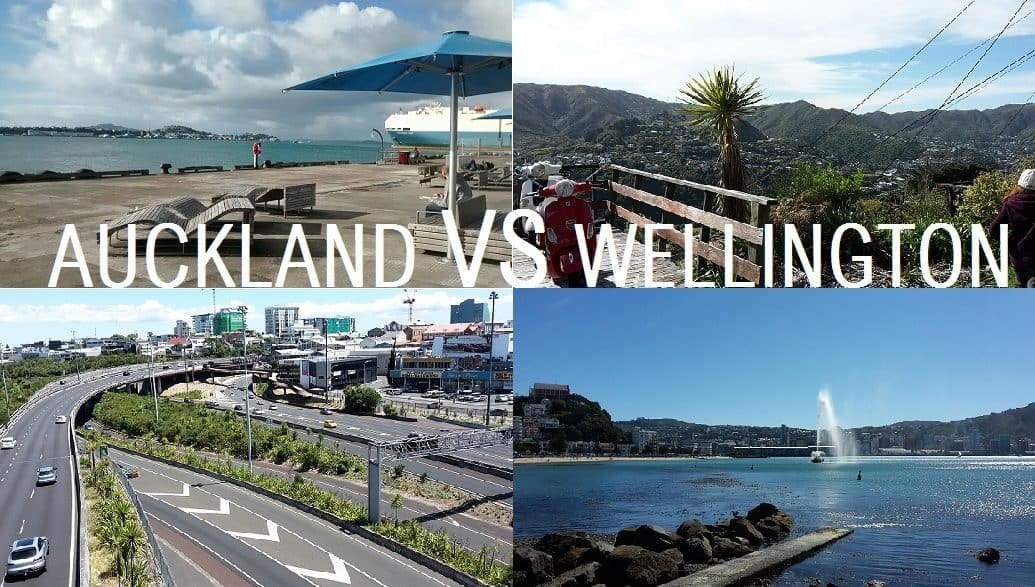auckland-vs-wellington-new-zealand