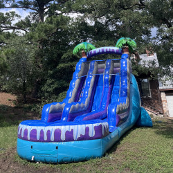 19 ft Palms Aqua Paradise