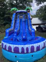 19 ft Palms Aqua Paradise
