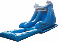 18ft Dolphin slide
