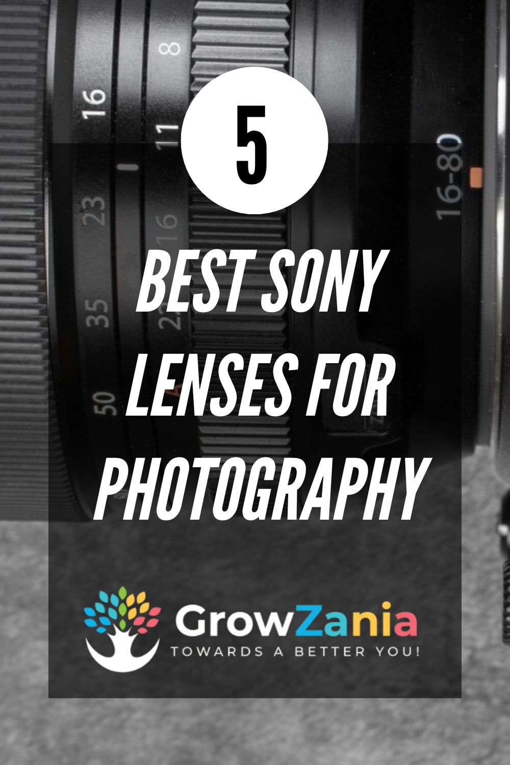 You are currently viewing The 5 Best Sony Lenses for Photography in 2025<span class="wtr-time-wrap after-title"><span class="wtr-time-number">18</span> min read</span>