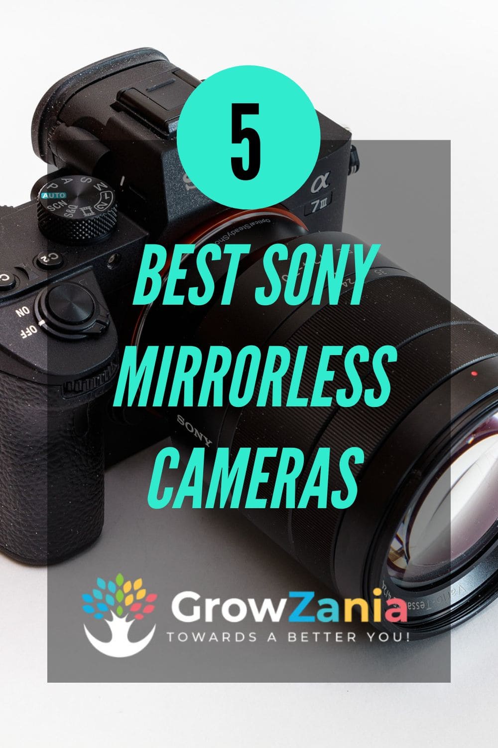 You are currently viewing The 5 Best Sony Mirrorless Cameras in 2025 (Honest & Unbiased)<span class="wtr-time-wrap after-title"><span class="wtr-time-number">14</span> min read</span>